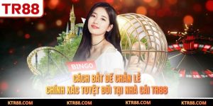 Cách Bắt Đề Chẵn Lẻ Chính Xác Tuyệt Đối Tại Nhà Cái TR88