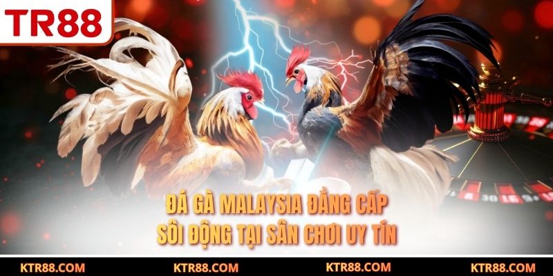 Đá Gà Malaysia Đẳng Cấp Sôi Động Tại Sân Chơi Uy Tín