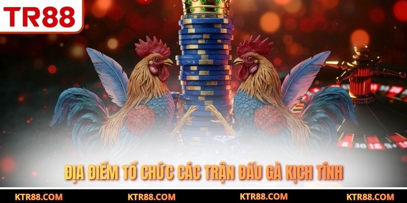 Địa điểm tổ chức các trận đấu gà kịch tính