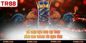 Gà Chọi Cựa Dao Tại TR88 Đỉnh Cao Tranh Tài Kịch Tính