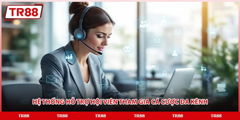 Hệ thống pháp lý đứng sau sự thành công của TR88