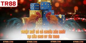 Thuật Ngữ Đá Gà Chuẩn Xác Nhất Tại Sân Chơi Uy Tín TR88