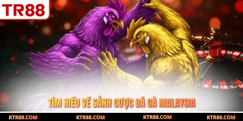 Tìm hiểu về sảnh cược đá gà Malaysia