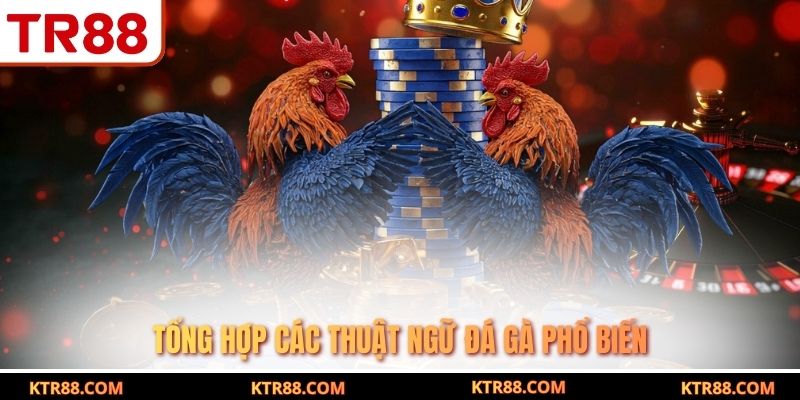 Tổng hợp các thuật ngữ đá gà phổ biến