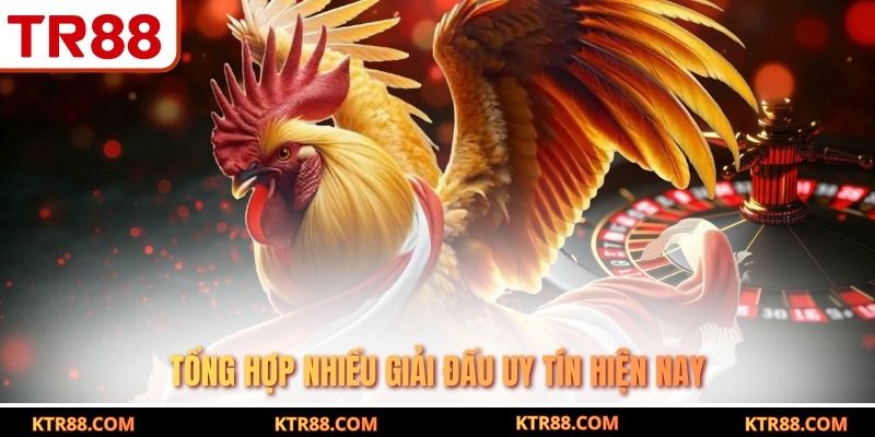 Tổng hợp nhiều giải đấu uy tín hiện nay